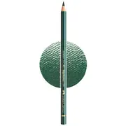 Faber-Castell Polychromos Pencil Juniper Green 165