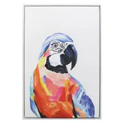 Splosh Bright and Bold Parrot Framed Canvas