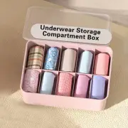 Closet Bra Holder Multiuse Organizer 10 Grid Underwear Storage Box Multiple