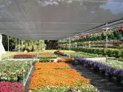 Large 6.5x10ft New Design 50%UV Black Outdoor Garden Canopy Shade Cloth Fabric