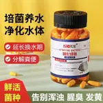 FISH TANK NITRIFYING BACTERIA CAPSULES ARE A MUST-魚缸硝化細菌膠囊去除