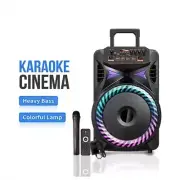 Bluetooth Karaoke Party Speaker 12 inch on wheels + Mic USB TF card Remote Contr