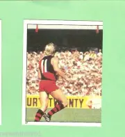 1983 SCANLENS VFL STICKER - #37 TERRY DANIHER, ESSENDON BOMBERS