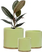 Pastel Green Ceramic Plant Pots Set with Bamboo Saucers Indoor Planters Set Flower Pots Containers Large, Medium and Small