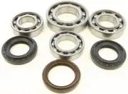 All Balls Differential Bearing & Seal Kit for 2011-2014 Yamaha YFM450 Grizzly