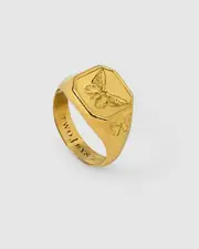 Butterfly Effect Ring