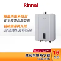 在飛比找蝦皮購物優惠-Rinnai 林內 16L 強制排氣熱水器 RUA-C160