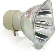 Replacement Projector Lamp BL-FU195C Compatible with OPTOMA HD142X HD27 BR-320 Projector Bulb Lamp Projector Lamp Bulb