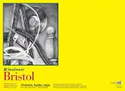 Strathmore 300 Series Bristol Vellum Pad 22"X30"-10 Sheets (Pack of 1)