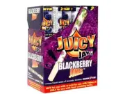 3 X Juicy jay's pre rolled cones (blackberry)