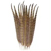 12pcs Natural Feathers Male Ringneck Pheasant Tails Feathers 8-10inch 20-25cm...