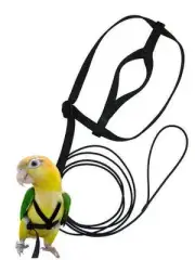 The Aviator Petite Bird Harness & Leash - Black