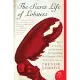 The Secret Life Of Lobsters: How Fishermen And Scientists Are Unraveling The Mysteries Of Our Favorite Crustacean