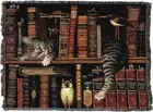 Fredrick The Literate Throw Charles Wysocki Inspired 70 x 53 Woven Cotton Throw