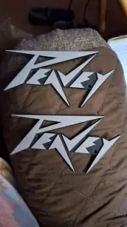 TWO Vintage Peavey Amplifier Logo