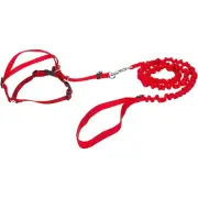 Premier Harness & Bungee Leash Red Large Come With Me Kitty NIB