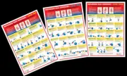 INFLATABLE BALL EXERCISES WORKOUT Instructional Wall Charts 3 19x28 POSTERS Set
