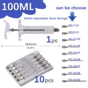 10/20/30/50/100Ml Transparent Syringes Adjustable Dose with 10Pcs 304 Stainless