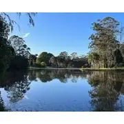 Harmonic Haven