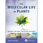 THE MOLECULAR LIFE OF PLANTS