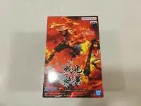 在飛比找Yahoo!奇摩拍賣優惠-BANPRESTO 正版 日版 金證 戰光絕景 火拳艾斯 海