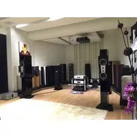 在飛比找PChome商店街優惠-DYNAUDIO Confidence C2 MKII 落地