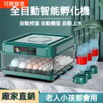 精品✅110V孵化器 小型全自動孵化機 家用型智慧孵蛋器 家用孵蛋機  智能孵化器 小型孵化機 蘆丁小雞鵪鶉鴨鹅孵化箱