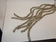Snakeskin Jasper 12mm Smooth Coin Beads(16 in Strand)