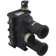 Pentair 460748 Water System Manifold Replacement Kit MasterTemp 250 Natural...