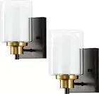2 Pack Bath Vanity Light Fixtures 1-Light, Indoor Black and Gold Wall Light with