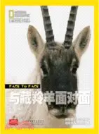 在飛比找三民網路書店優惠-與藏羚羊面對面（簡體書）