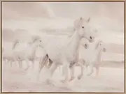 White Horse Stampede Canvas Art Print