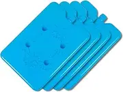 Home Master Ice Bricks, Reusable and Long-Lasting Ice Packs for Coolers, Lunch Boxes, and More, Keep Food and Drinks Cold for Hours (4)