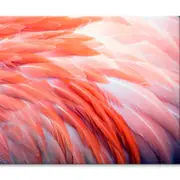 Close Up View of Pink Flamingo Feather Print 100% Australian Made 120 x 90cm (Stretched)