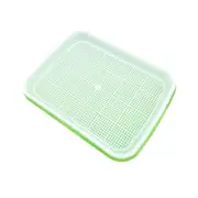 Bean Sprout Planting Microgreens Tray Seeding Cloning Hydroponic