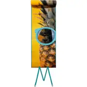 Awesome Gift Idea Roll-up Beach Mat Picnic Pineapple Sunglasses 24x64 w/ Pillow