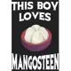 This Boy Loves Mangosteen Notebook: Simple Notebook, Awesome Gift For Boys, Decorative Journal for Mangosteen Lover: Notebook /Journal Gift, Decorativ