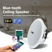 Bluetooth Ceiling Speakers Digital Indoor Outdoor 5.25inch DC 5V Home Sound