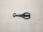 Quail Egg Scissors Stainless Steel Blade Tool