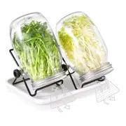 Sprouting Seeds Mason Jar Kit 32oz - Set of 2