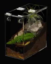 Small Acrylic Enclosure ( Terrarium Supplies Tarantula Scorpion reptile tank )