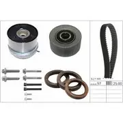 INA Timing Belt Kit - 530089210