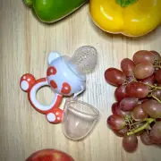 Sproutlets Fruit Nibbler - Baby Fresh Food Feeder Pacifier with 4 Silicone Me...