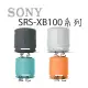 【MR3C】含稅開發票 公司貨附保卡 SONY SRS-XB100 可攜式藍牙喇叭 揚聲器 4色