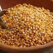 Bulk Carnival King Extra Large Mushroom Popcorn Kernels (select size below)