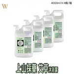 【TASIO 上山採藥 桶裝4000ML 艾草沐浴露 】超好購！快速出貨！ 環保 桶裝 超值 月子中心 露營