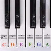 Key Note 37/49/54/61/88 Keyboard Sticker 5 in1 Universal Piano Learner Music