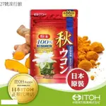 【ITOH 井藤漢方】日本 100% 秋薑黃粉 200G (附食用湯匙)[207628]