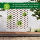 AU Expandable Plant Climbing Lattices Extensible Pine Fence Plant Support For Cl