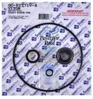 Polaris Swimming Pool Booster Pump Viton Seal Go Kit GO-KIT71V-9